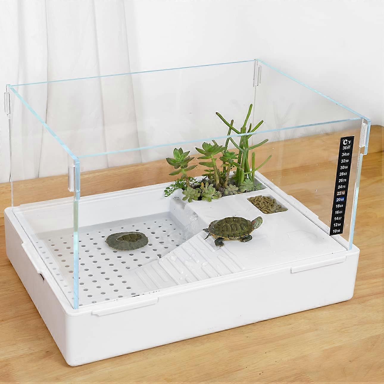 Acrylic Turtle Tank (23×13.5×10 Inch) with Water Filter Reptile Habitat