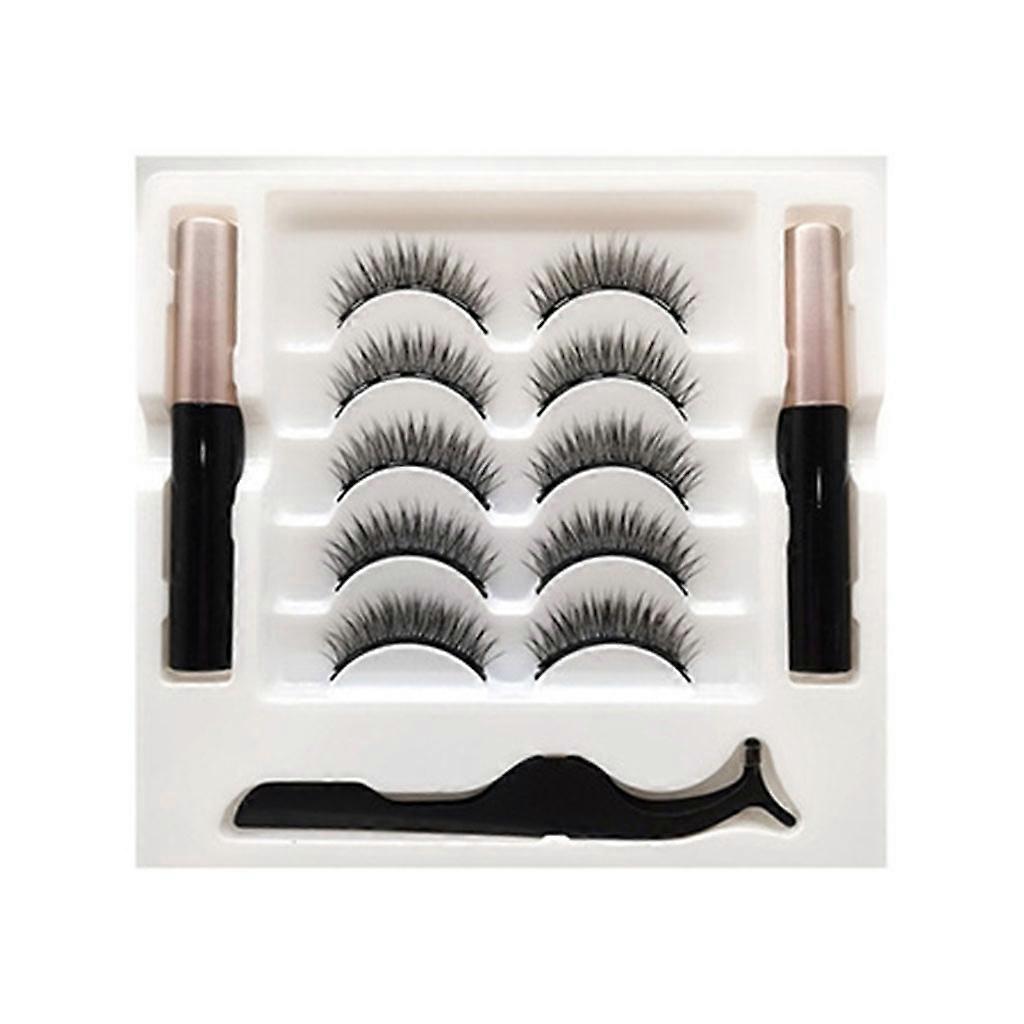 Magnetic Eyelashes and Eyeliner Kit 5 Pairs Natural Look False Eyelashes with Magnetic Eyeliner Tweezers Easy to Apply