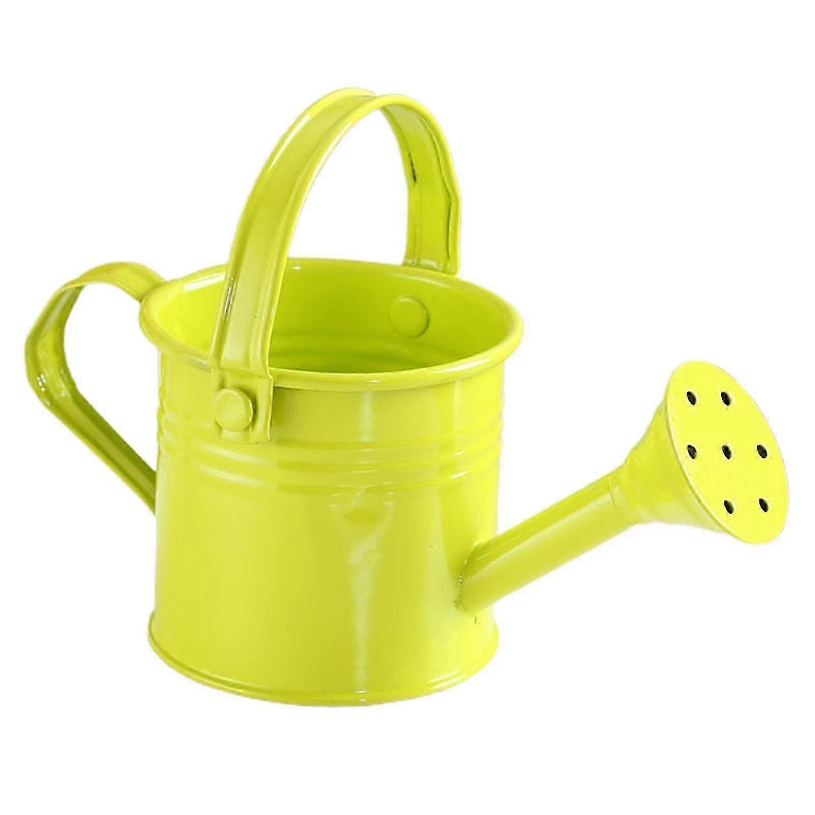Portable Large Capacity Watering Can with Handle and Long Mouth for Gardening Use