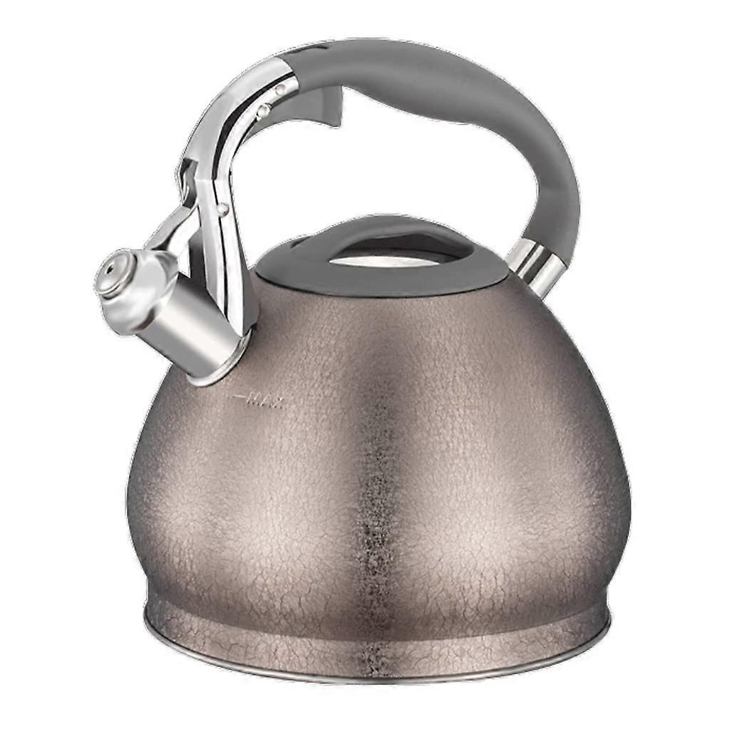 hotplate, teakettle, teapot, teakettle, stainless steel, whistling kettle, 3 L