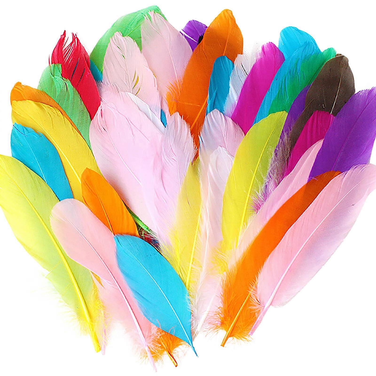 Coopserbil DIY Natural Colourful Craft Feathers (50 Count)