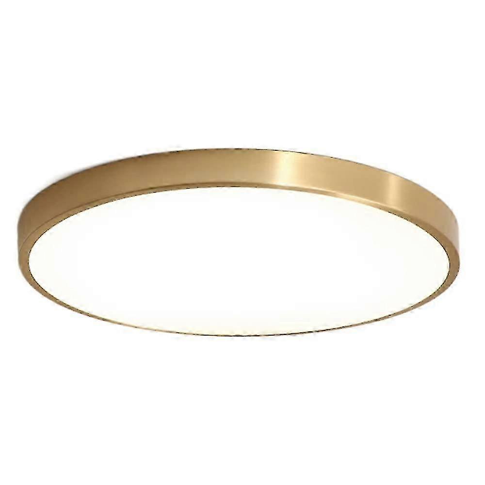 LED Ceiling Light 3000K-6000K Remote Dimming Corridor Balcony Light