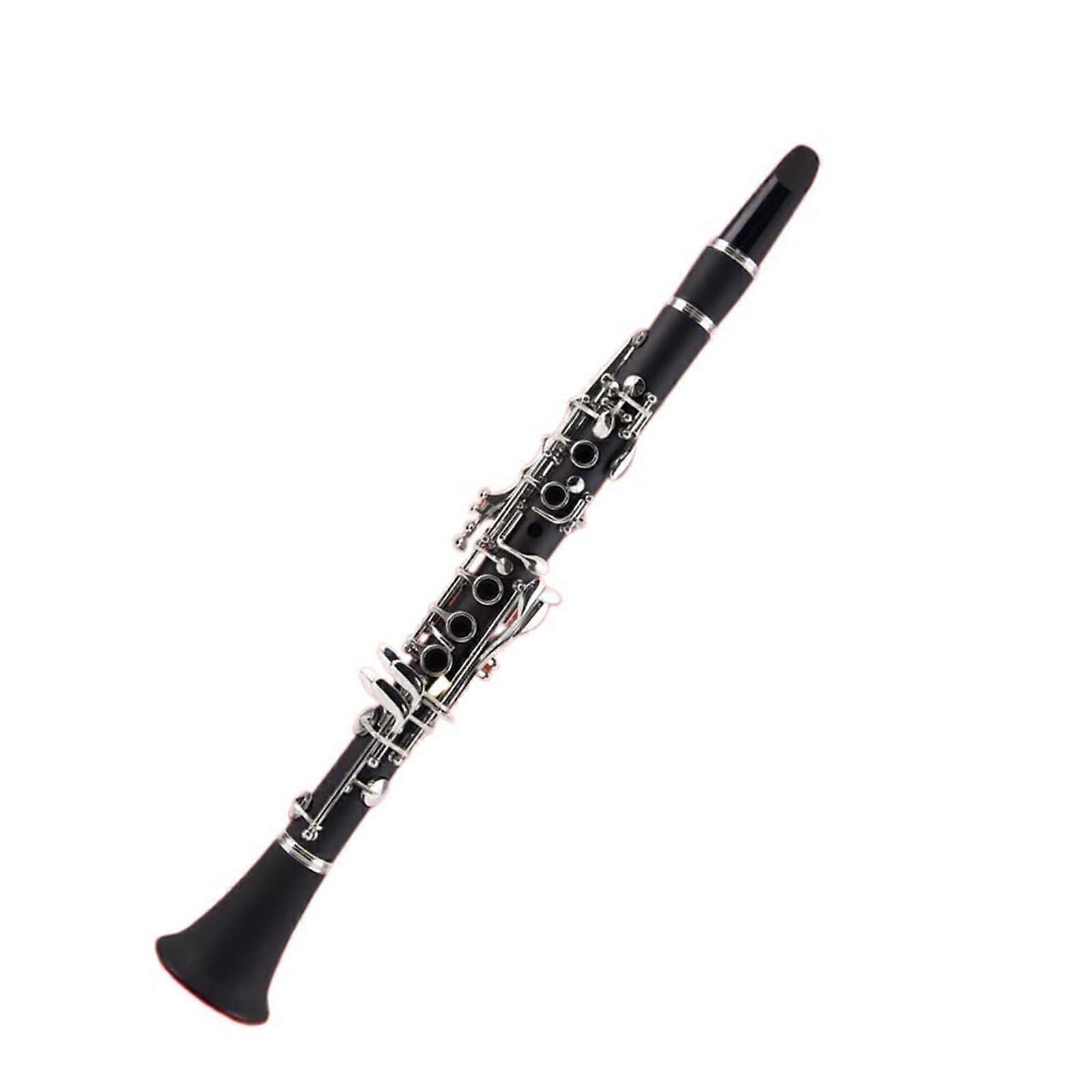 Bb Clarinet for Beginners with Case, Compact Design, Clear Tone for Practice and Performance