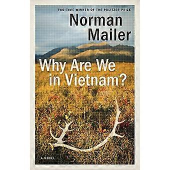 Warum sind wir in Vietnam?