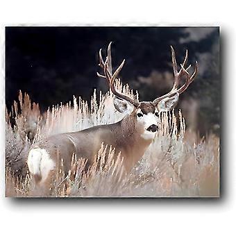 Jigsaw Puzzles Antler Rack Mule Deer Animal Wildlife Jigsaw Puzzle VV799
