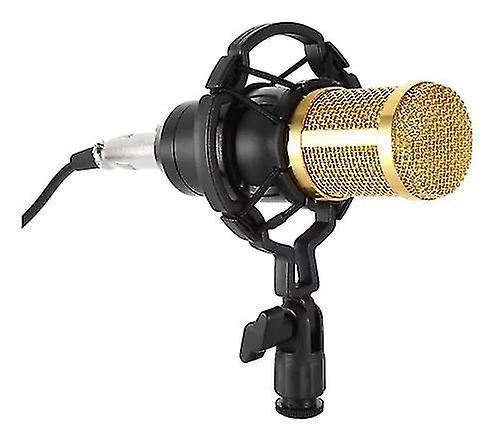 Audio-Technica At2035 Cardioid Condenser Microphone, Perfect For Studio, Podcasting Streaming, Xlr O Large