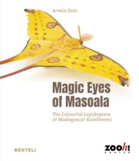 Magic Eyes Of Masoala by Armin Dett Paperback Book
