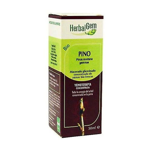 Glycerinated Macerated Pine 50 ml