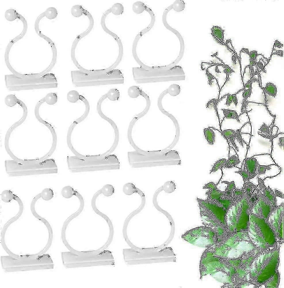 100 قطعة تسلق مقاطع دعم النبات ، خطاف نبات ذاتي اللصق ، تسلق مثبتات جدار النبات ، لكروم الحديقة ، كابل تثبيت سطح المكتب