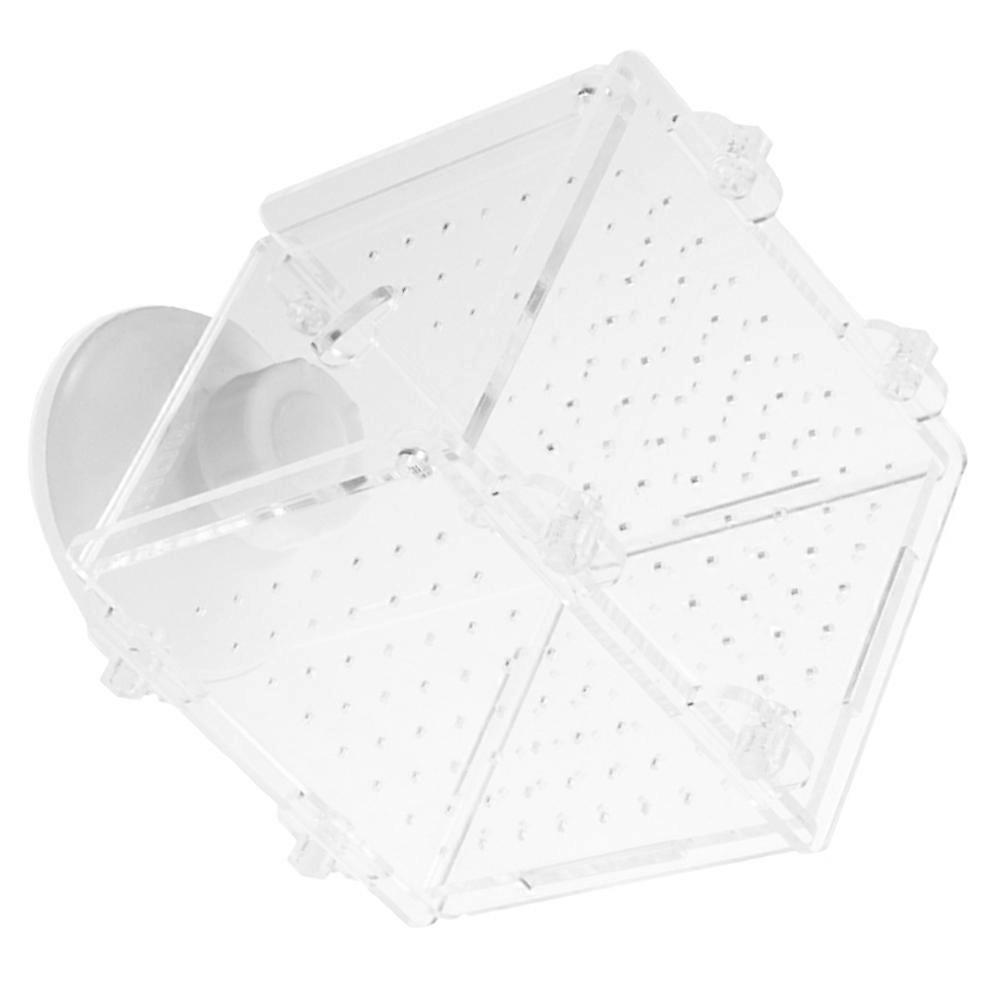 Acrylic Fish Breeding Box Acrylic Fish Isolation Box Aquarium Fish Separator 1 Set