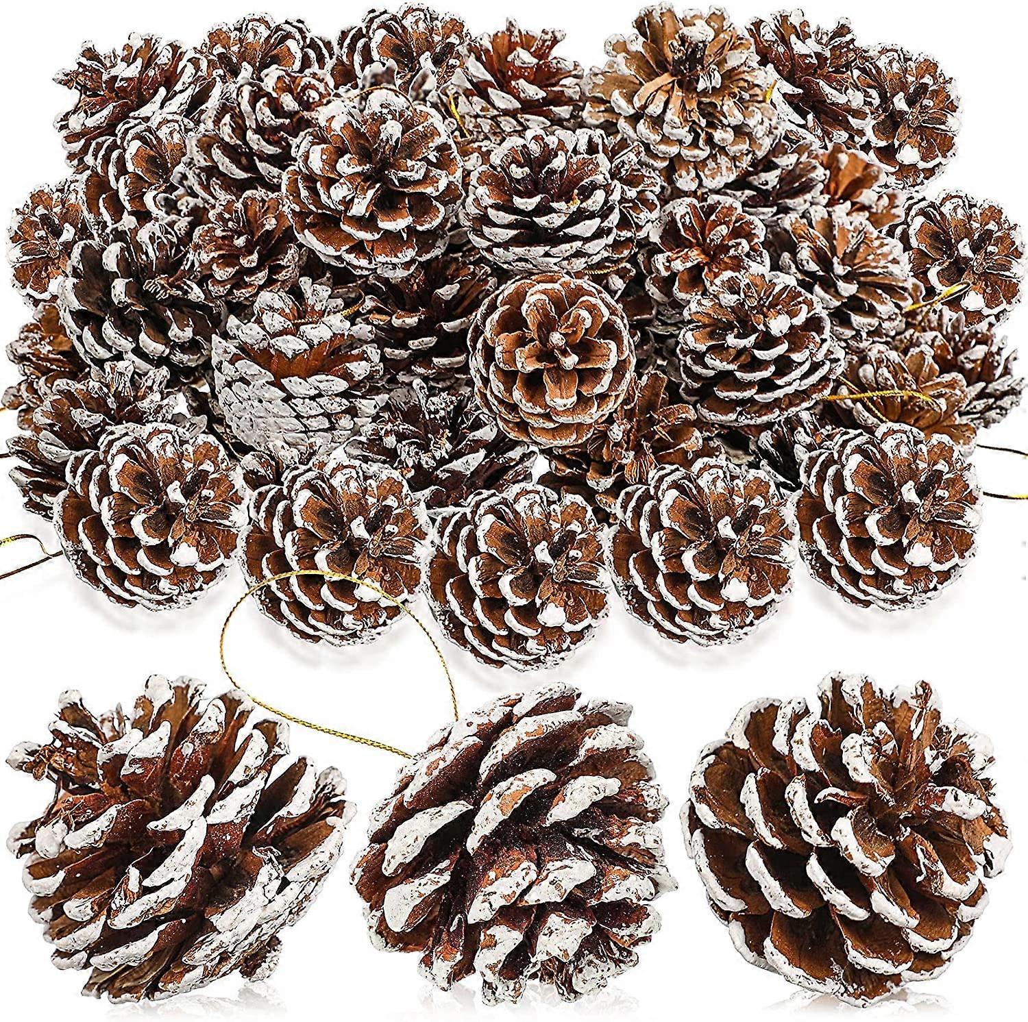 18 Pcs Pine Cones for Christmas Tree, White Frosted Mini Pine Cones with String, Xmas Ornaments & Crafts, Farmhouse Winter Party Decor