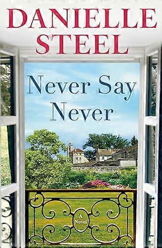 Never Say Never : Un roman