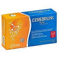 Cerebrum Forte (Cerebronic) 20 ampoules