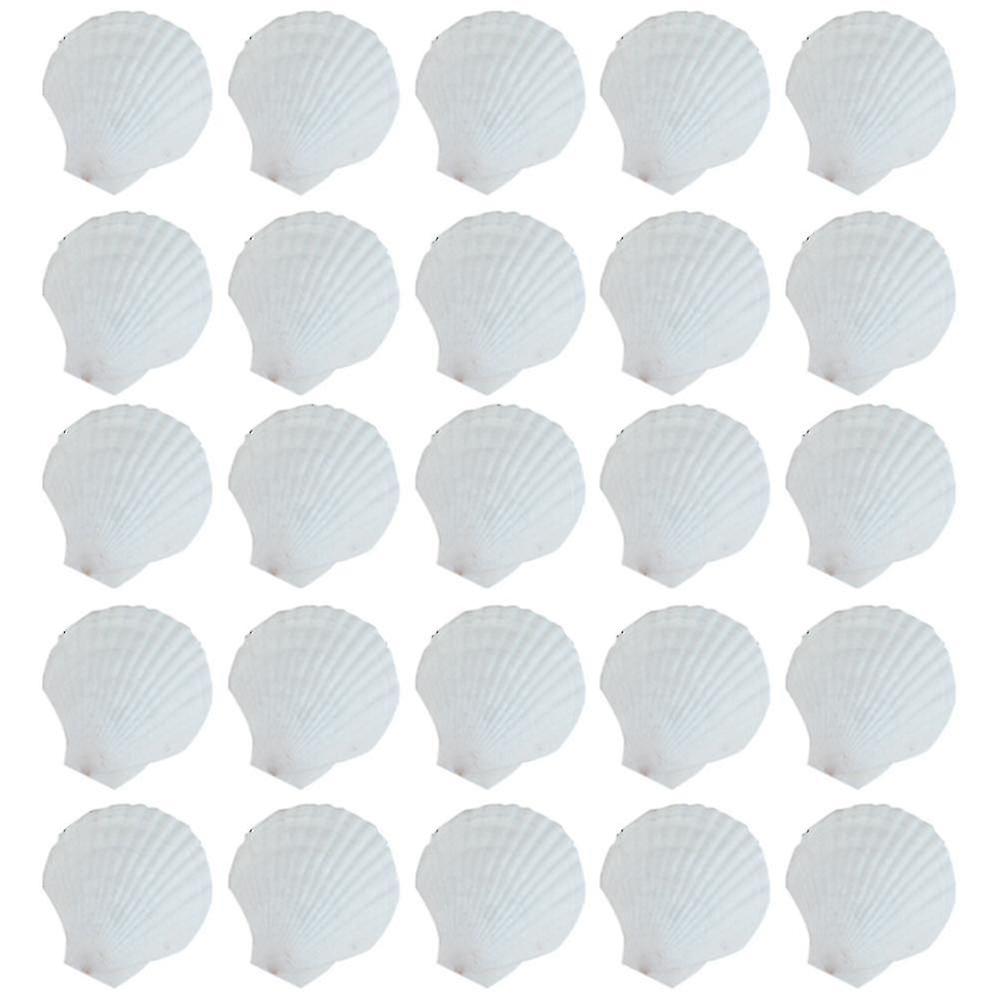 25pcs Natural Scallop Shell, Special For Handmade Diy Coloring Shell