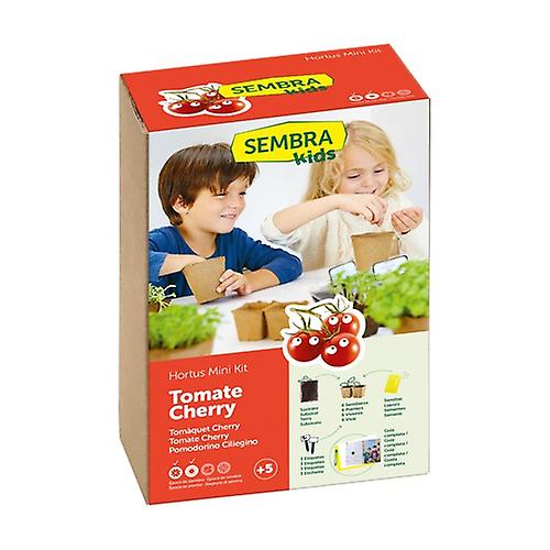 Cherry Tomato Seeds 1 unit