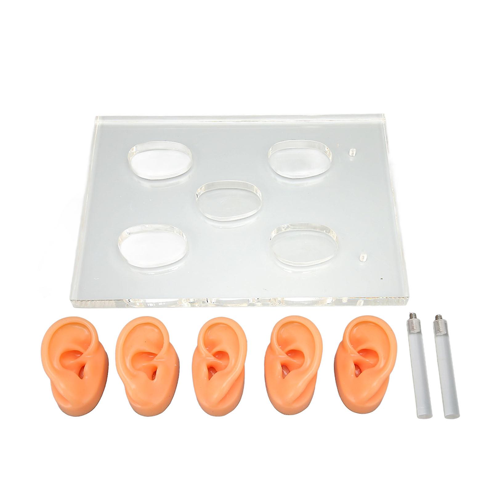 5Pcs Silicone Ear Model Clear Details Waterproof Ear Model Acrylic Display Board with 2 Support Columns for ENT Hospitals