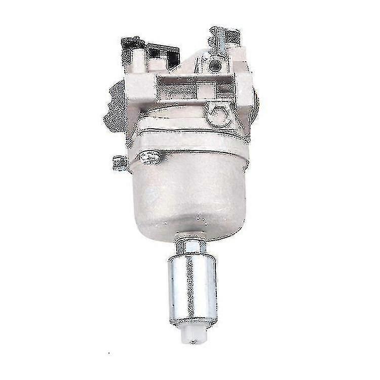 Kaasuttimen ruohonleikkuri, 1 kpl