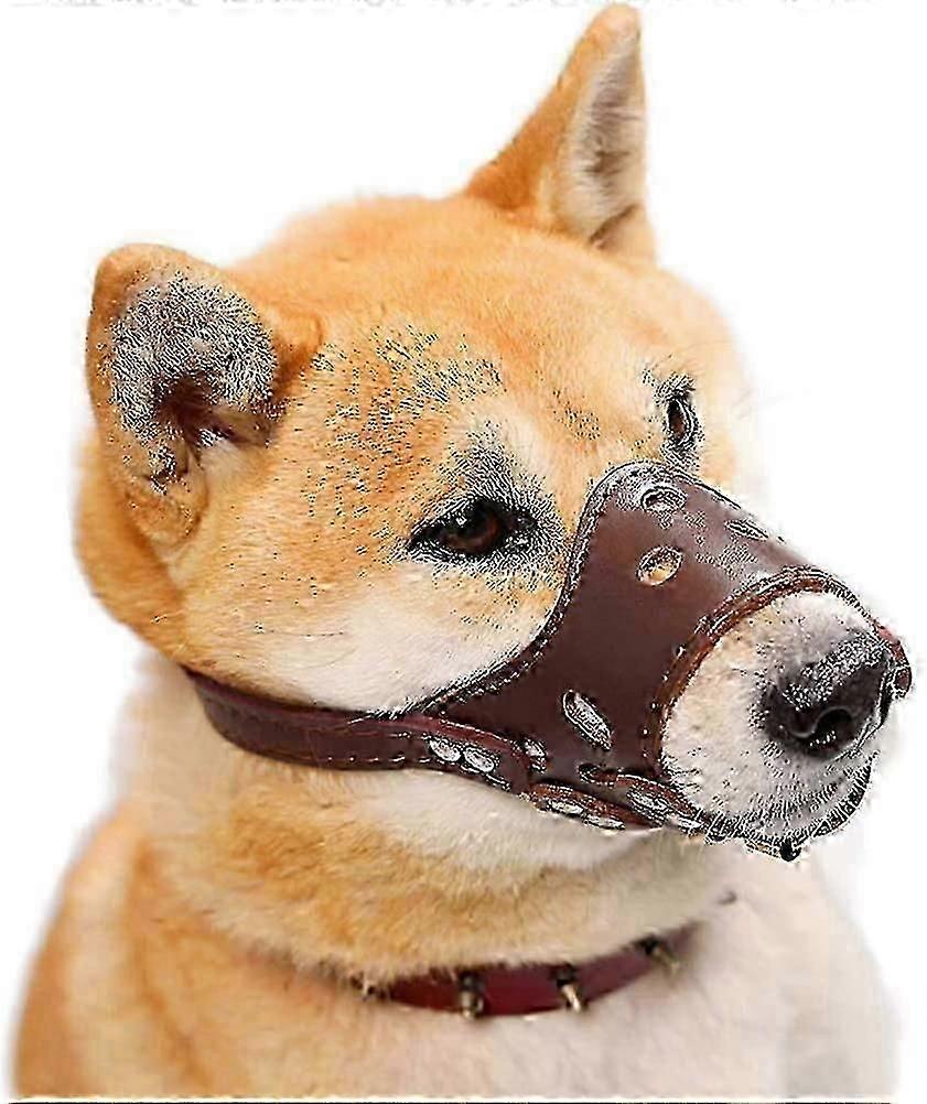 Dog Muzzle, Suitable for Multiple Dog Breeds, Comfortable and Adjustable, Prevent Biting and Chewing