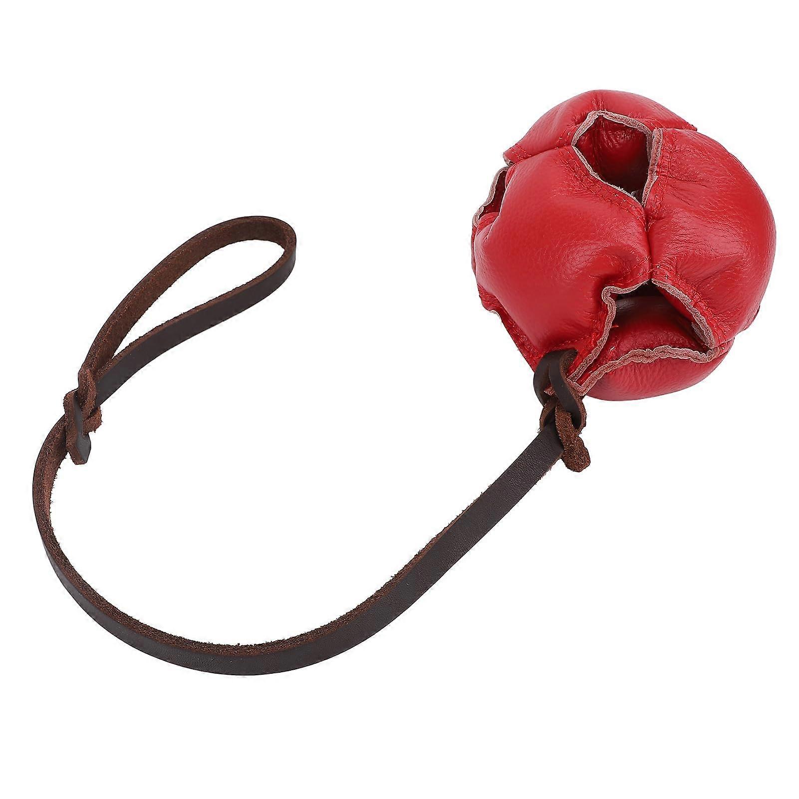 Dog Training Ball, Release Energy, Reduce Anxiety, Interactive Exercise and Reward Ball on Rope, Toy for Small, Medium Dogs (Red)