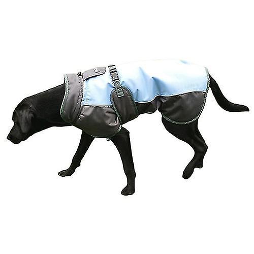 Henry Wag Waterproof Dog Coat