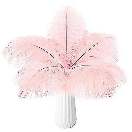 20pcs Bulk Feathers  Light Pink