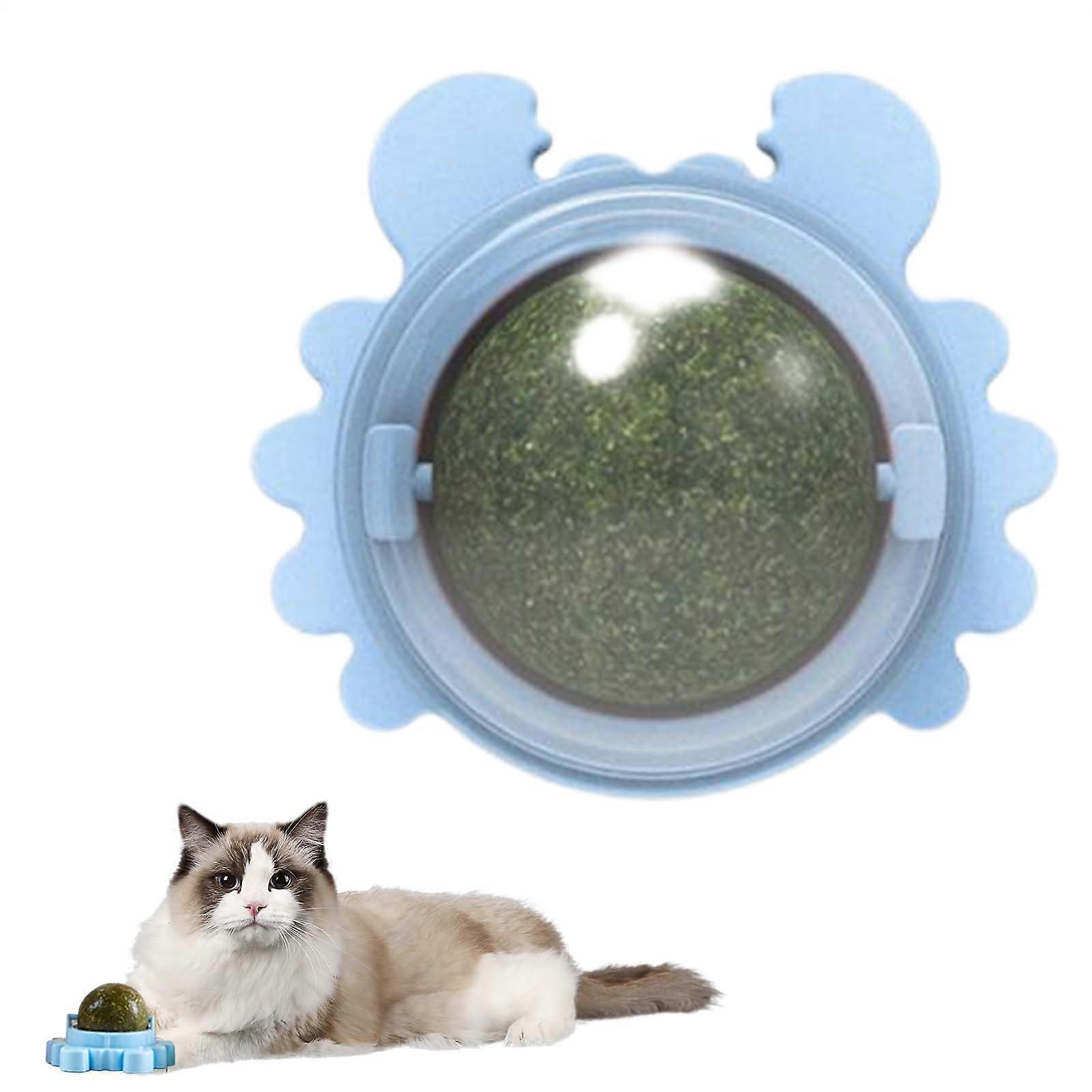 Cat Nip Ball  Durable Indoor Catnip Ball Toy, Removable Catnip Licking Toy, For Cats and Kittens