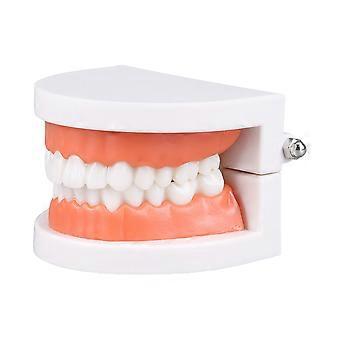 Children Educational Toy Brushing Tooth Teaching Aids Household Classroom