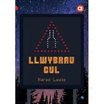 Cyfres Amdani: Llwybrau Cul