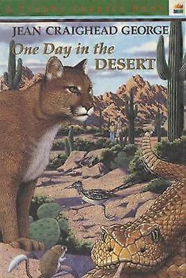 One Day in the Desert