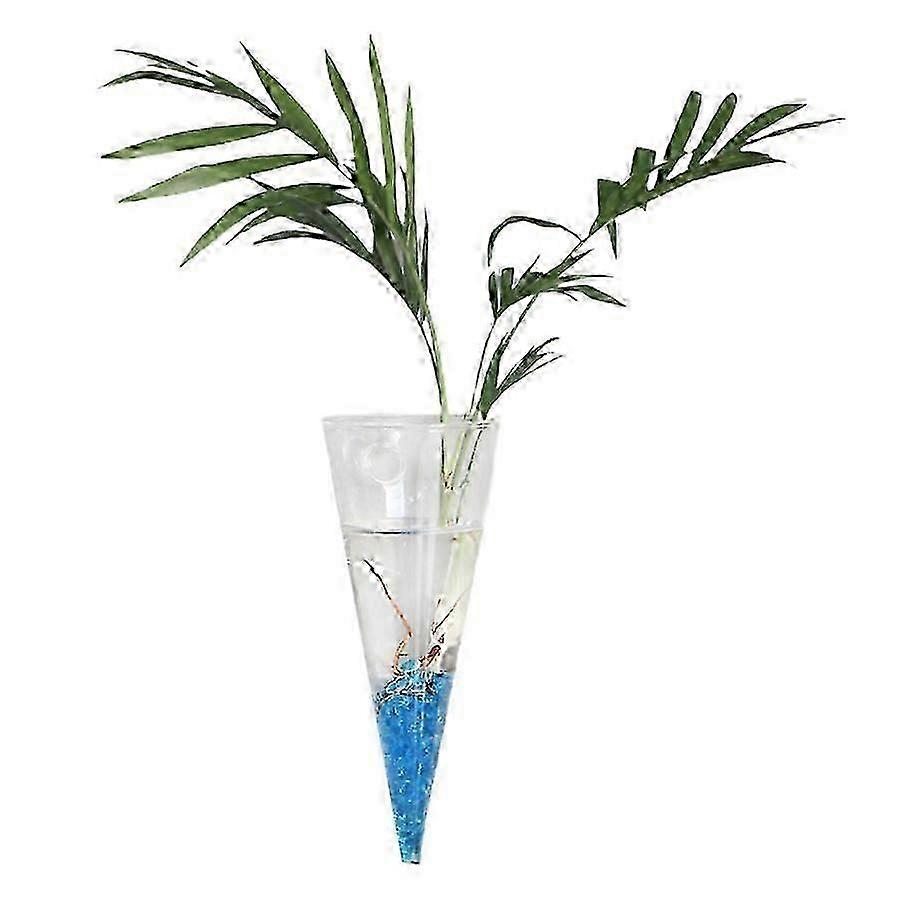 Large Hydroponic Glass Vase, Wall Mount with Adhesive