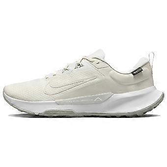Nike Juniper Trail 2 Gore-Tex Beige Gris FB2067-003
