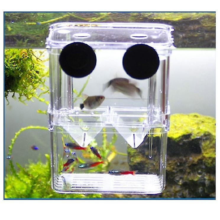 Fish Breeding Box, Floating Aquarium Acrylic Hatchery, Baby Fish Shrimp Hatchery Isolation Box, Doub