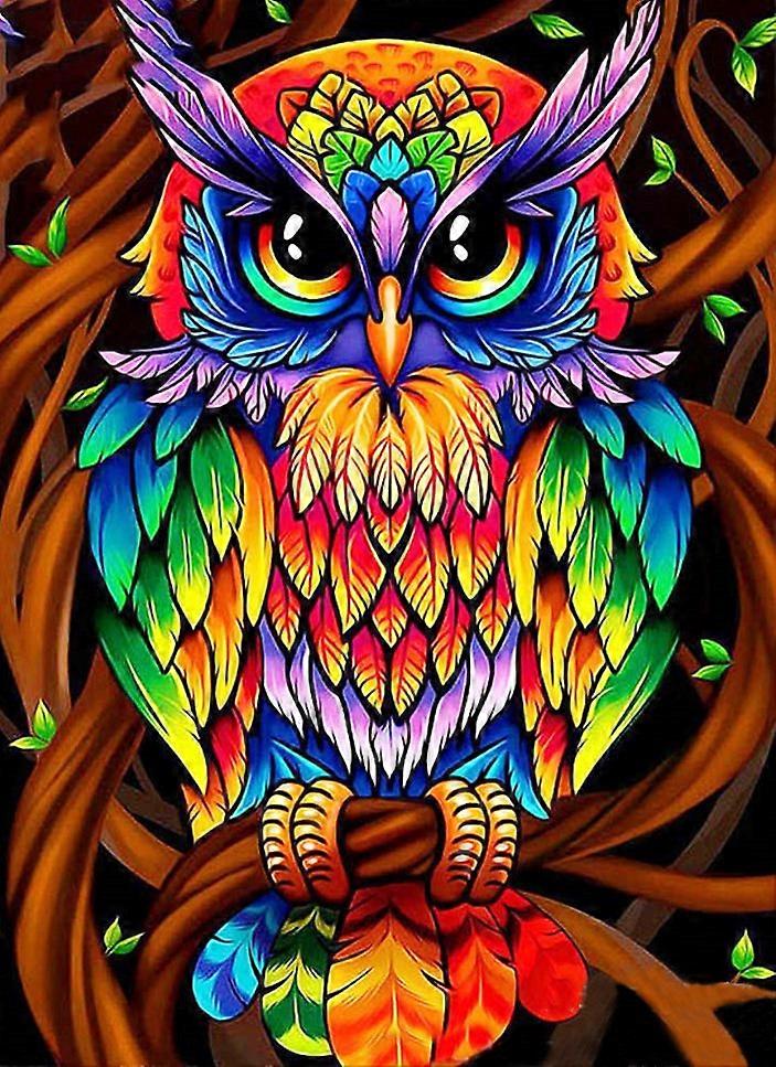 Diamond Painting - Owl 30*40cm