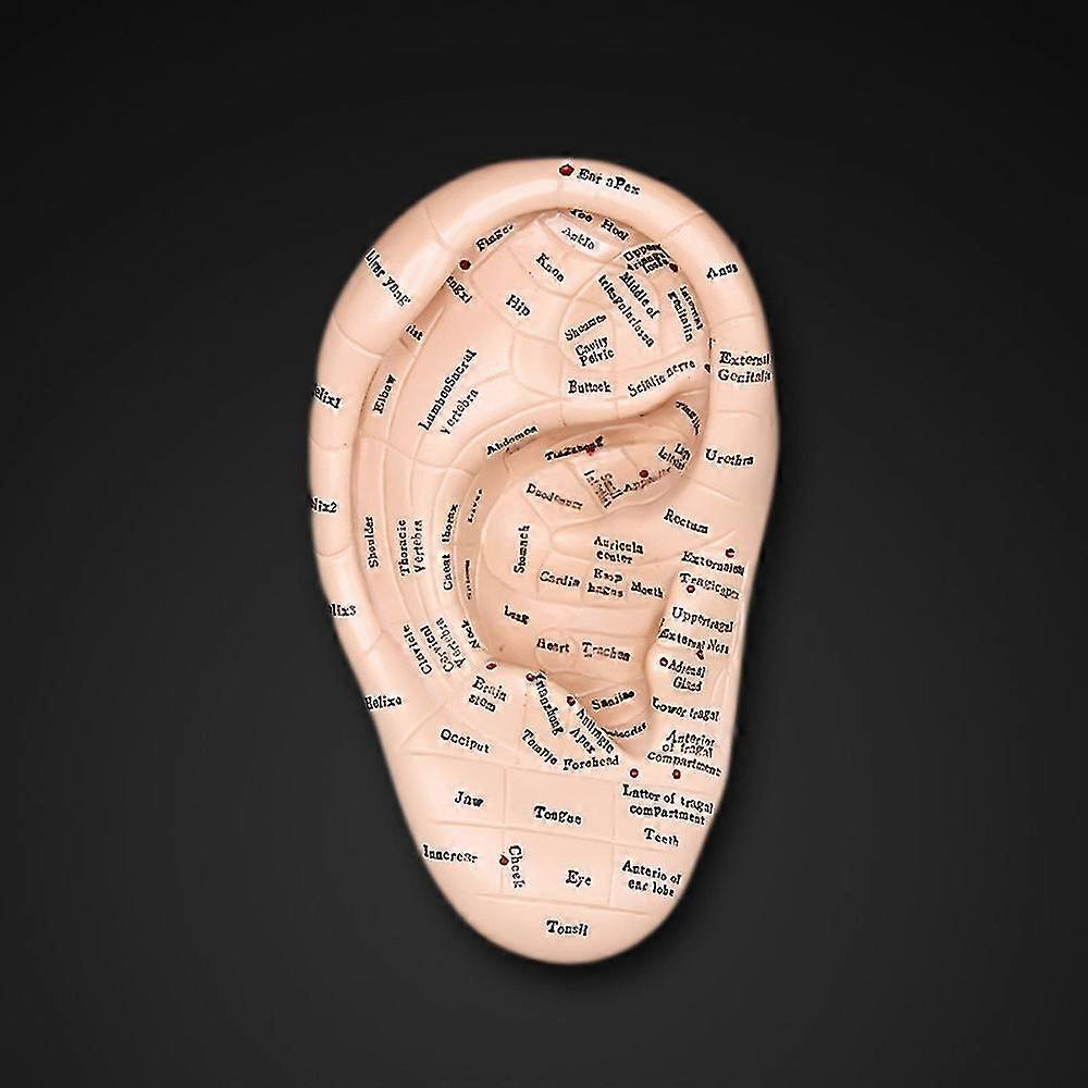 300pcs Magnetic Therapy Ear Patch Auricular Auriculotherapy Acupuncture Seed