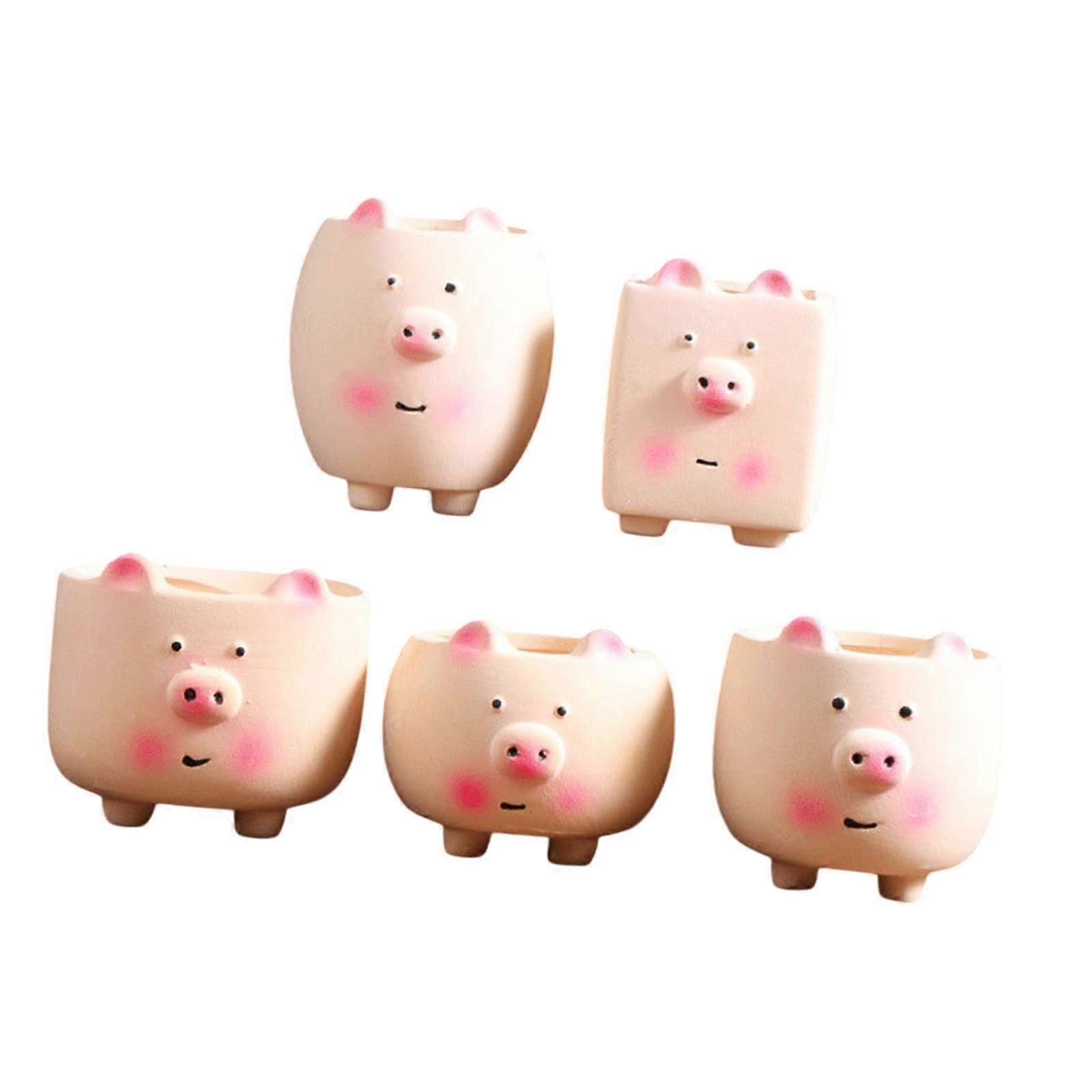 5x 다육식물 화분 화분 장식 화분 사무실 파티오 화단용