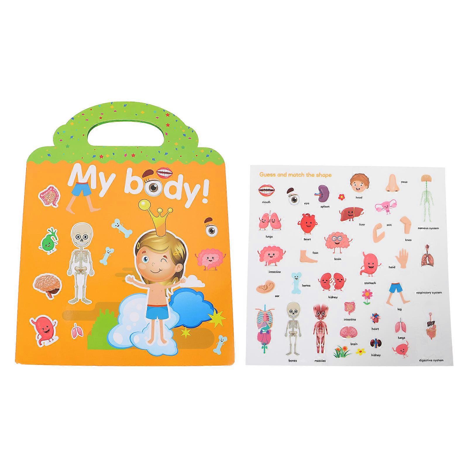 Children Human Organs Stickers for Educational Use 1Set DIY Decals