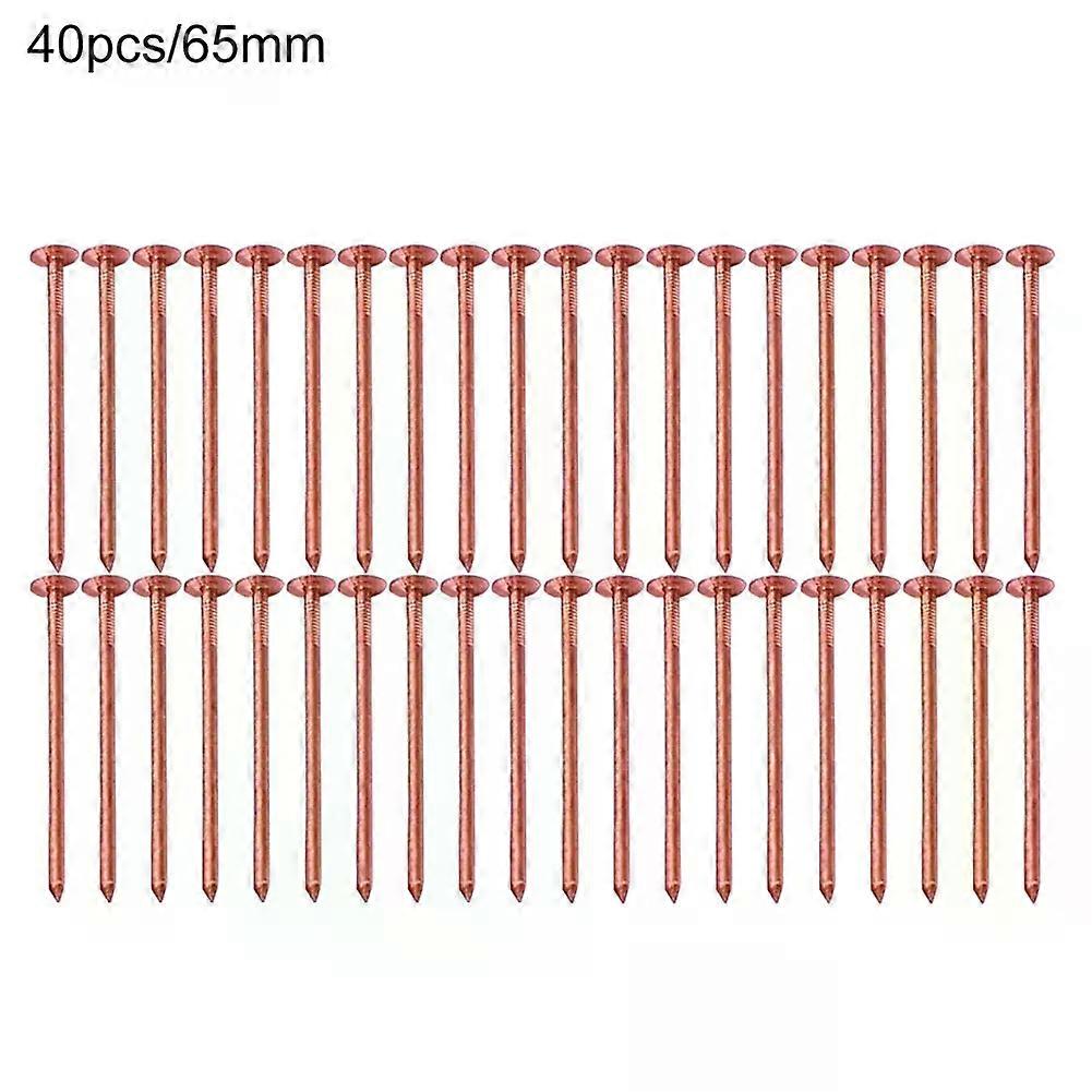20/30/40/50PCS 65/75MM Tree Killer Nails Large Copper Nails For Killing Trees Stump Root Stump Removal Spikes Hardware