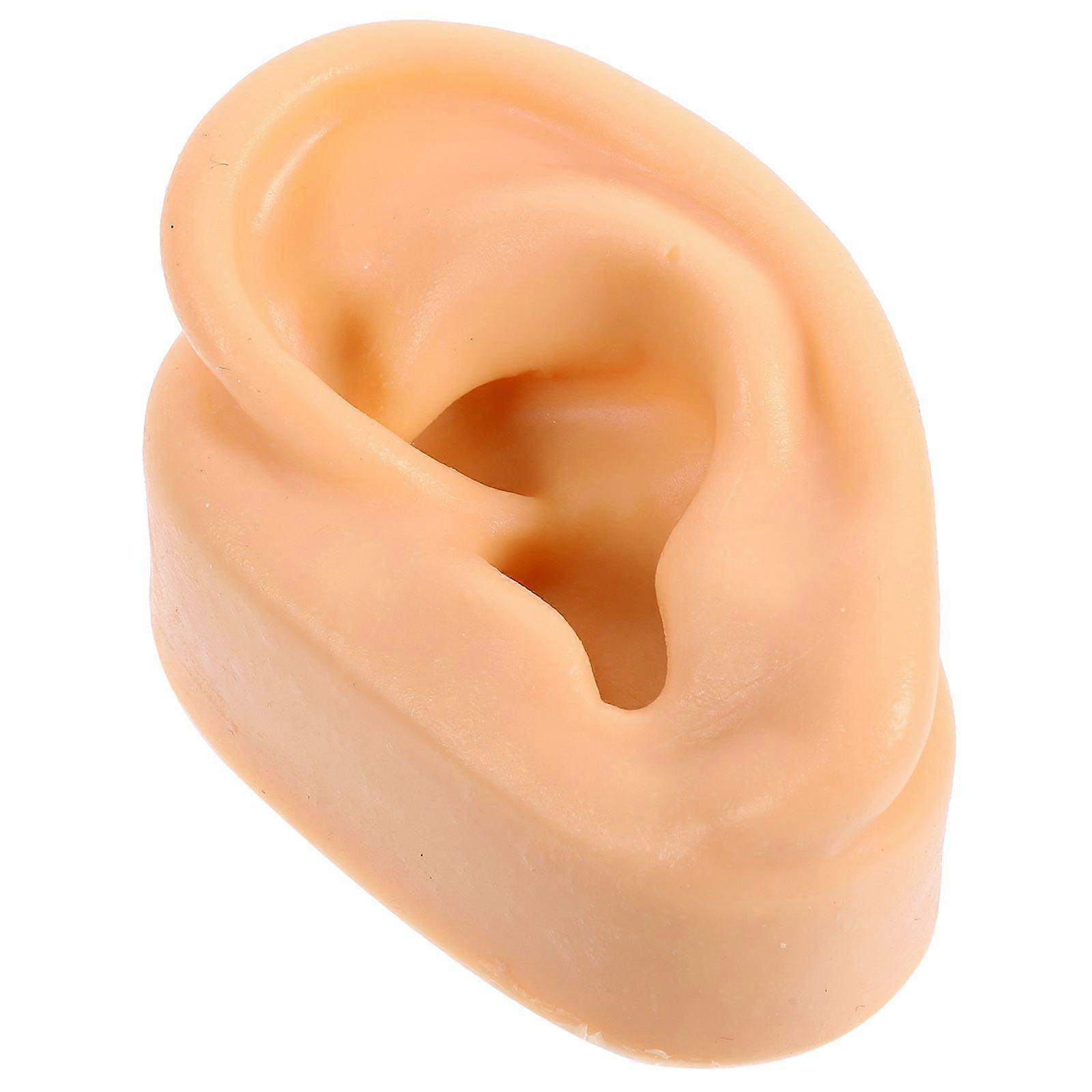 Human Ear Model Simulation Artificial Human Left Ear Silicone Ear Model Prank Prop
