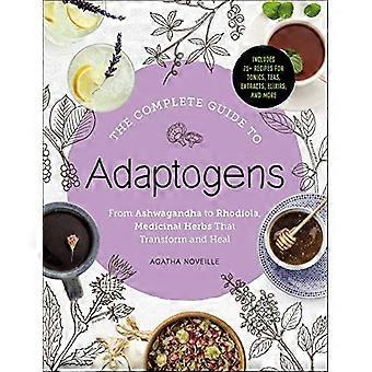 Täydellinen opas Adaptogens