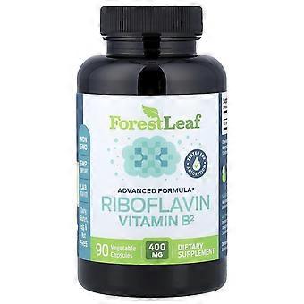 Feuilles de forêt, riboflavine (vitamine B2), 400 mg, 90 gélules végétales