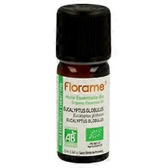 Eucalyptus Globulus essential oil 10 ml of essential oil (Eucalyptus)