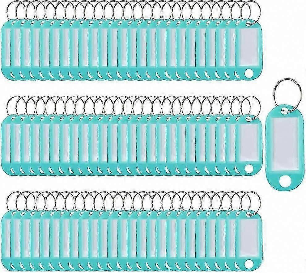 100 Pack Plastic Key Fobs with Labels and Split Rings (Blue)