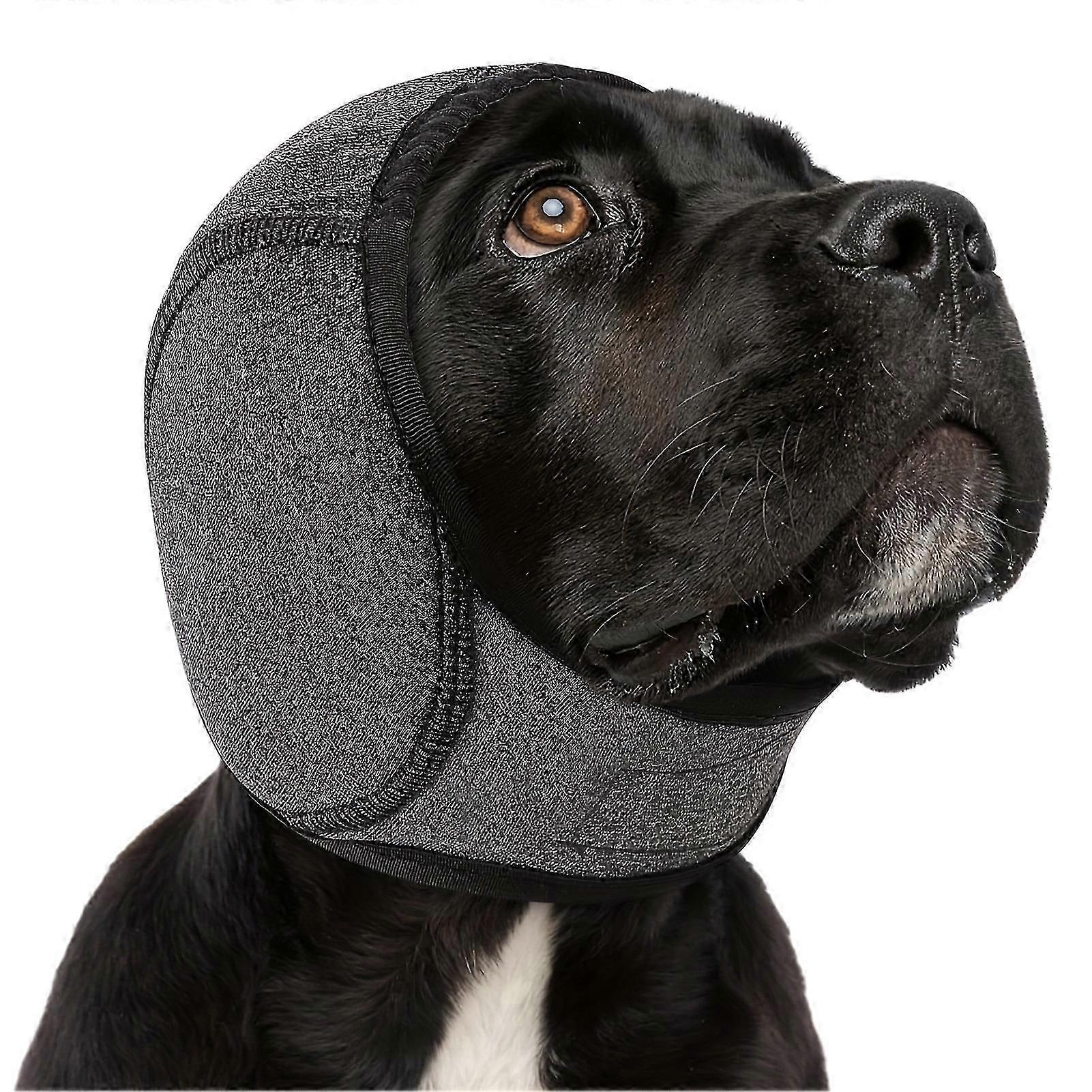 Dog Ear Wrap for Sensitive Hearing