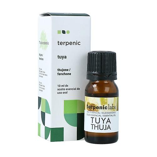 Thuja Essential Oil 10 ml of essential oil