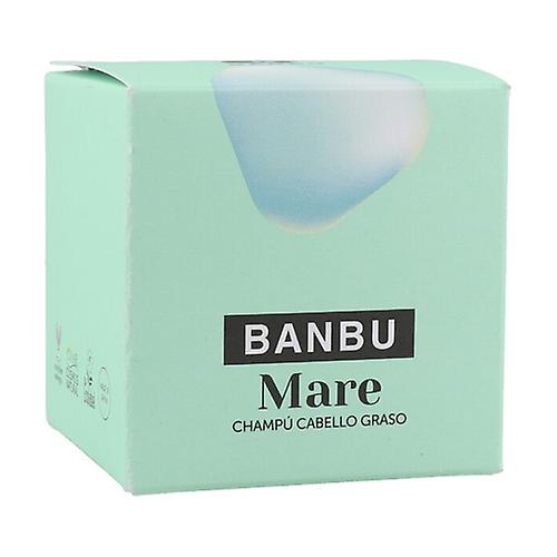 Solid shampoo for oily hair 75 g