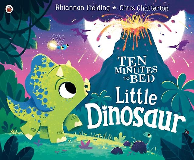 Ten Minutes To Bed Little Dinosaur by Rhiannon Fielding Paperback Book