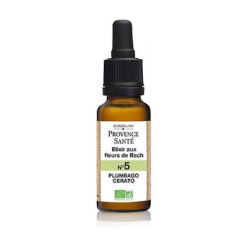 ORGANIC Plumpago 20 ml of floral elixir