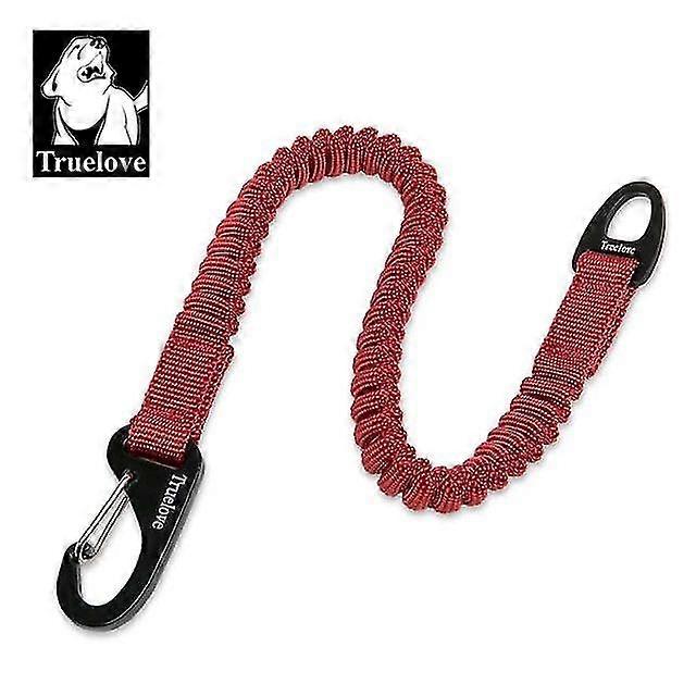 leash bungee dogs nylon retractable elastic extension