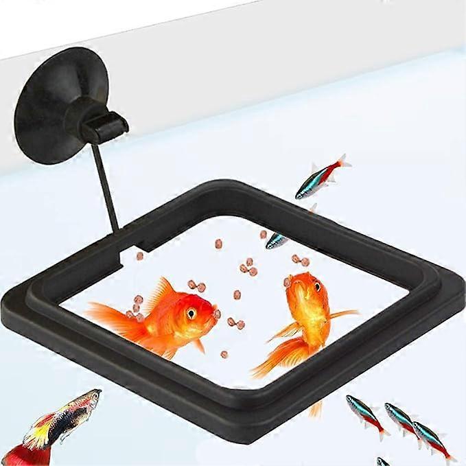 Fish Food Feeding Ring, Stop Water Turbulence from Washing Food & Floating Plants into Filter, Suitable for Flakes & Floating Fish Pellets, for Goldfi