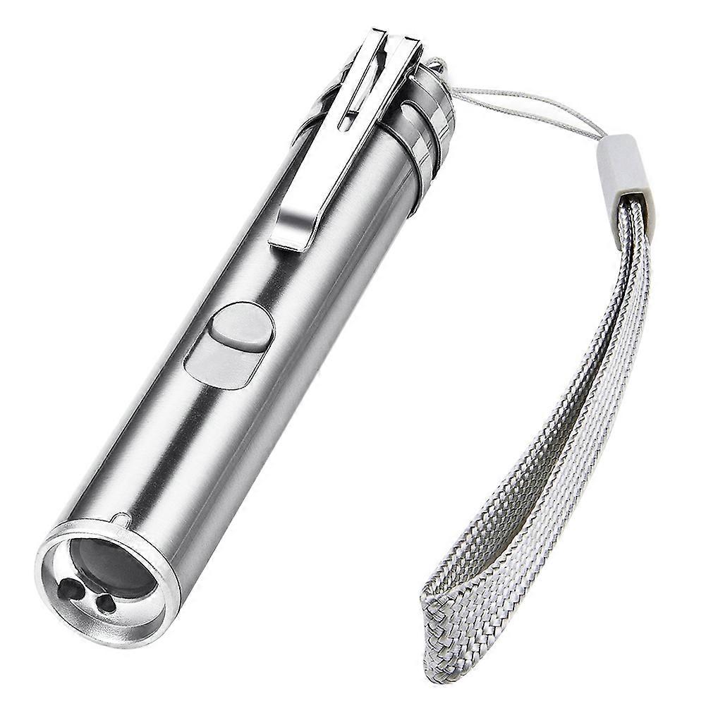 Pet Cats Chaser Play Interactive Toy Rechargeable LED Red Light Pointer Pen Stick